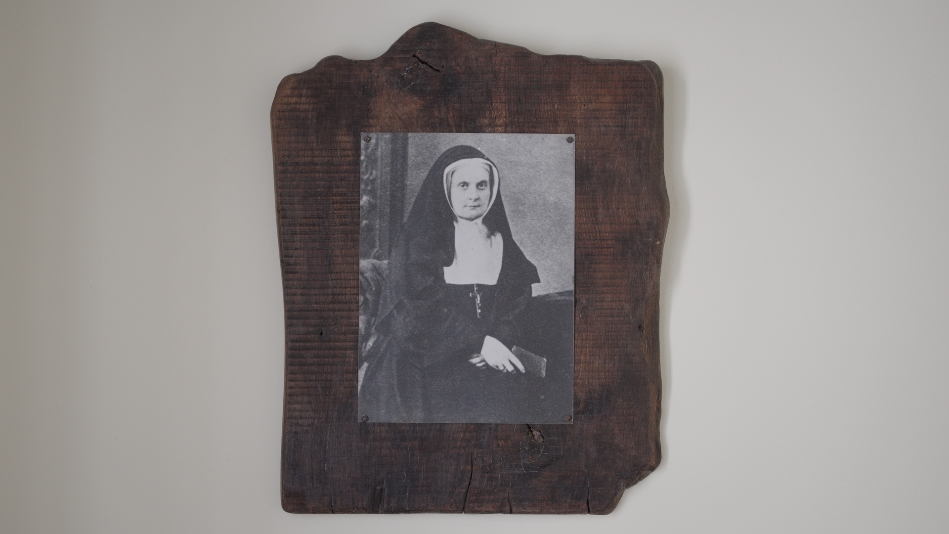 Portrait historique de Marie-Thérèse de Soubiran